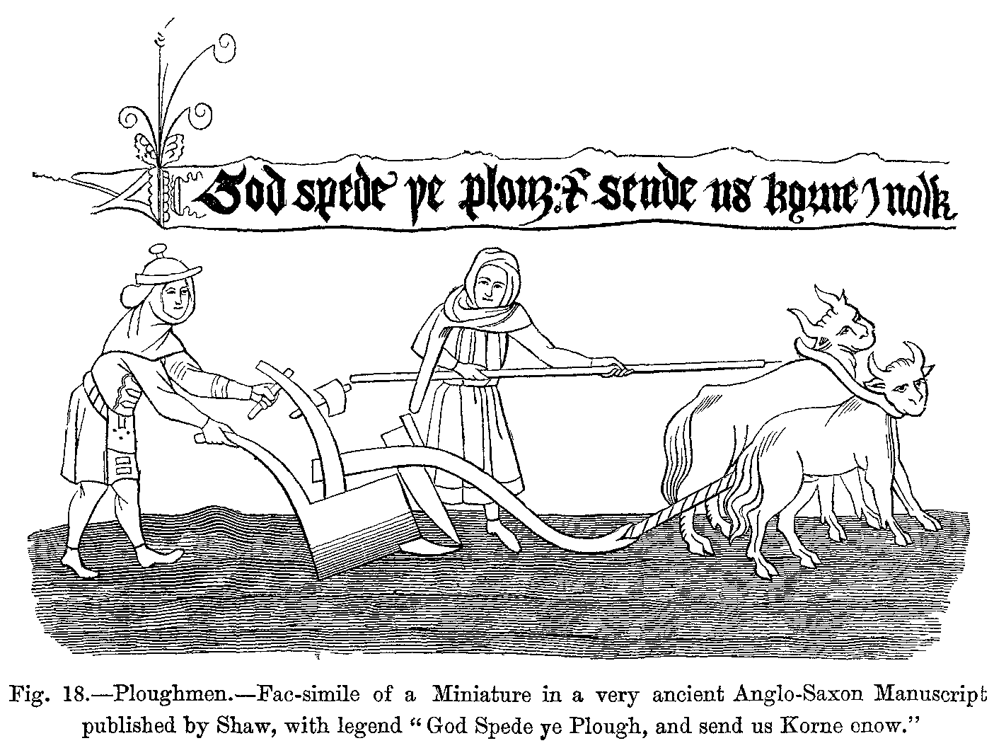 An 16th century image of two farmers poking at a pair of yoked oxen with a goade